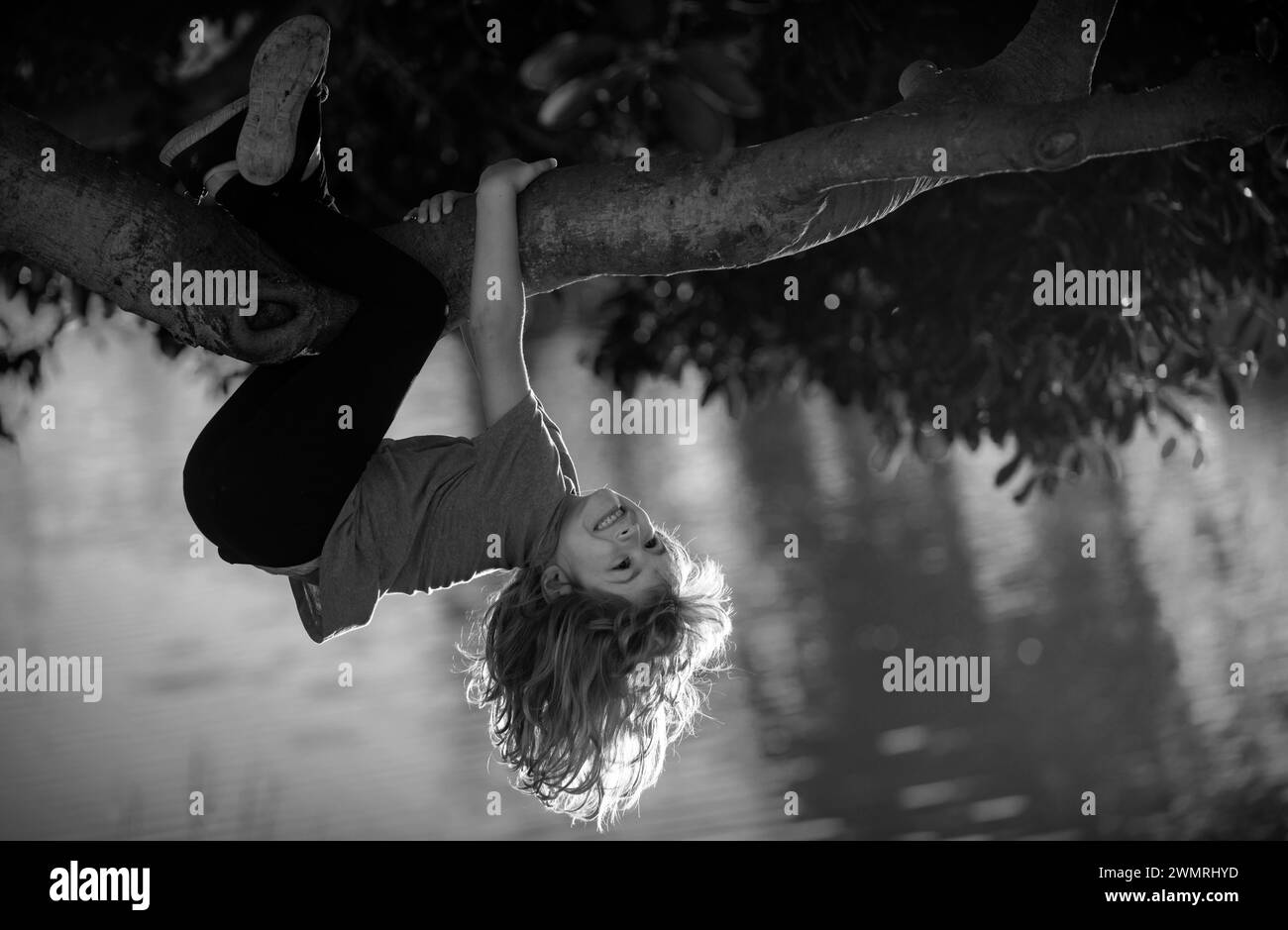Child boy climbing high tree in the summer park. Portrait of cute kid