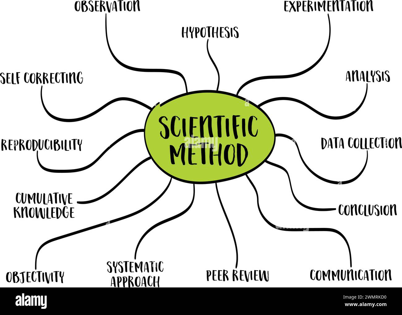 scientific method infographics or mind map sketch, science and research concept Stock Vector