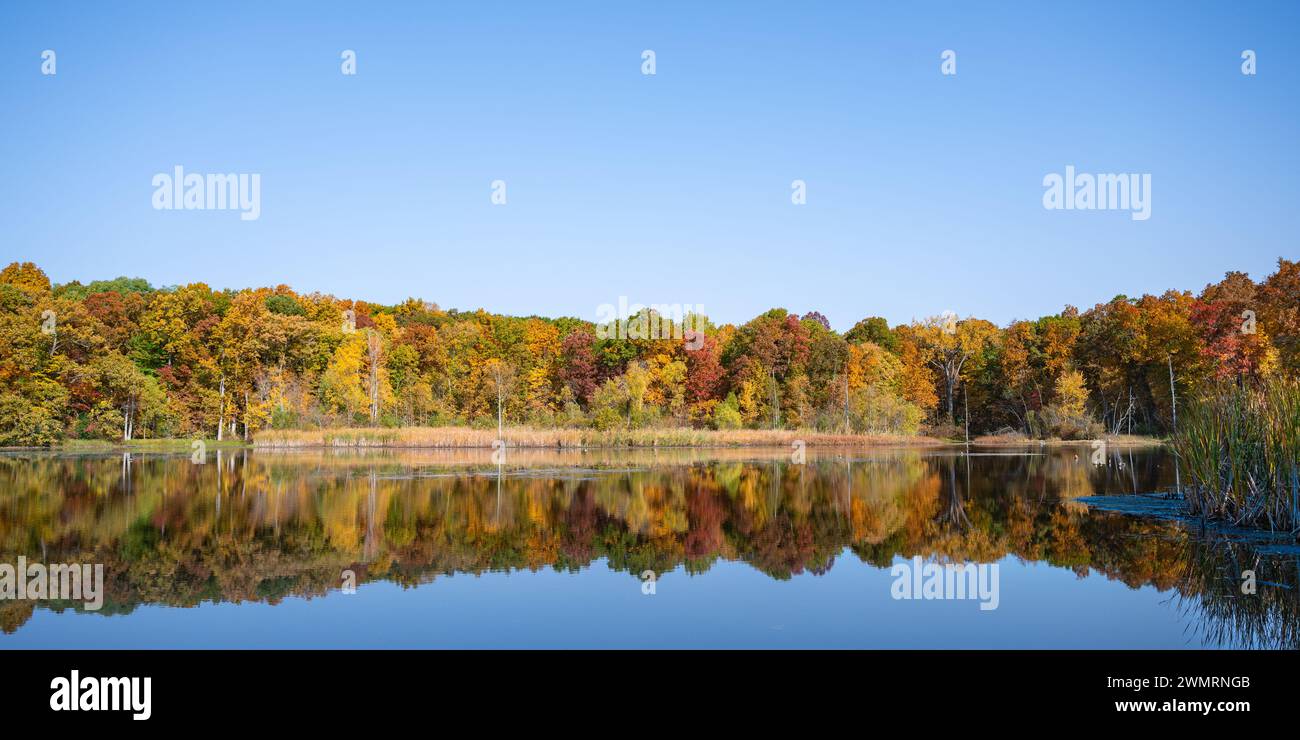 Autumn colors reflecting in an unnamed lake, Red Trail, Bald Mountain State Recreation Area, Orion Township, Michigan Stock Photo