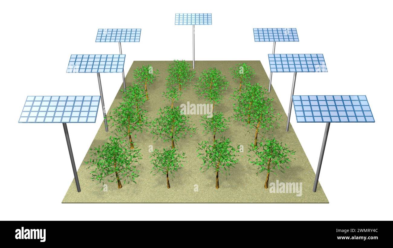 Agrivoltaics - solar tech with agriculture. Solar panels technology on agricultural land. 3d render illustration Stock Photo