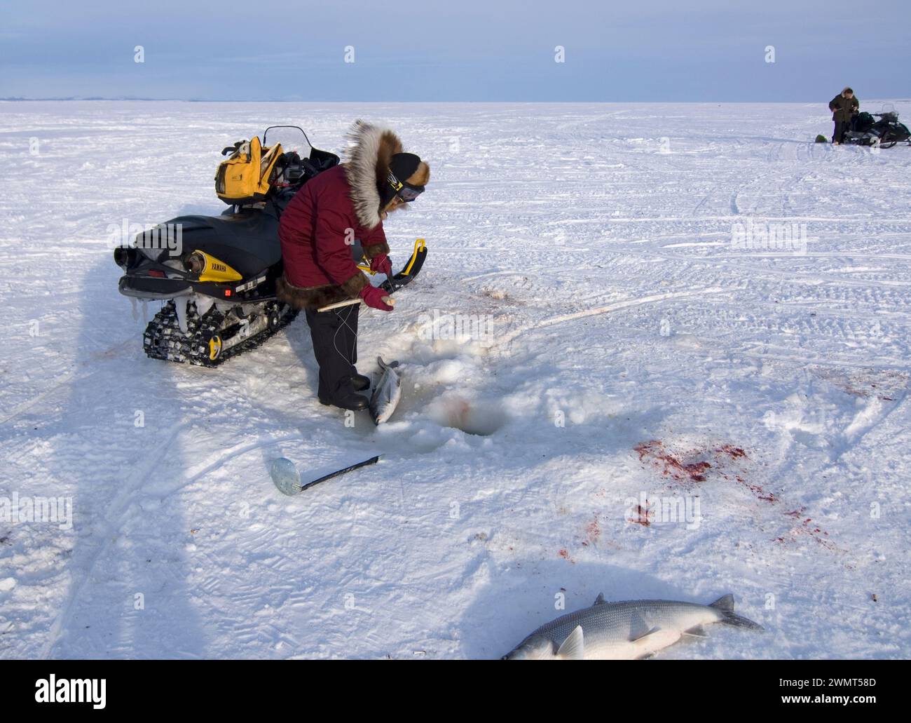 Native Inupiaq Alaskan women ice fishing for sheefish on Kotzebue sound outside the village town of Kotzebue Sound Northwestern arctic Alaska Stock Photo