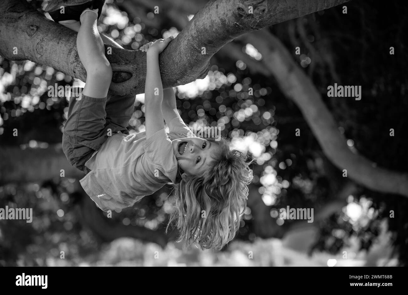 Kids climbing trees, hanging upside down on a tree in a park. Cute little kid boy enjoying climbing on tree on summer day. Cute child learning to Stock Photo