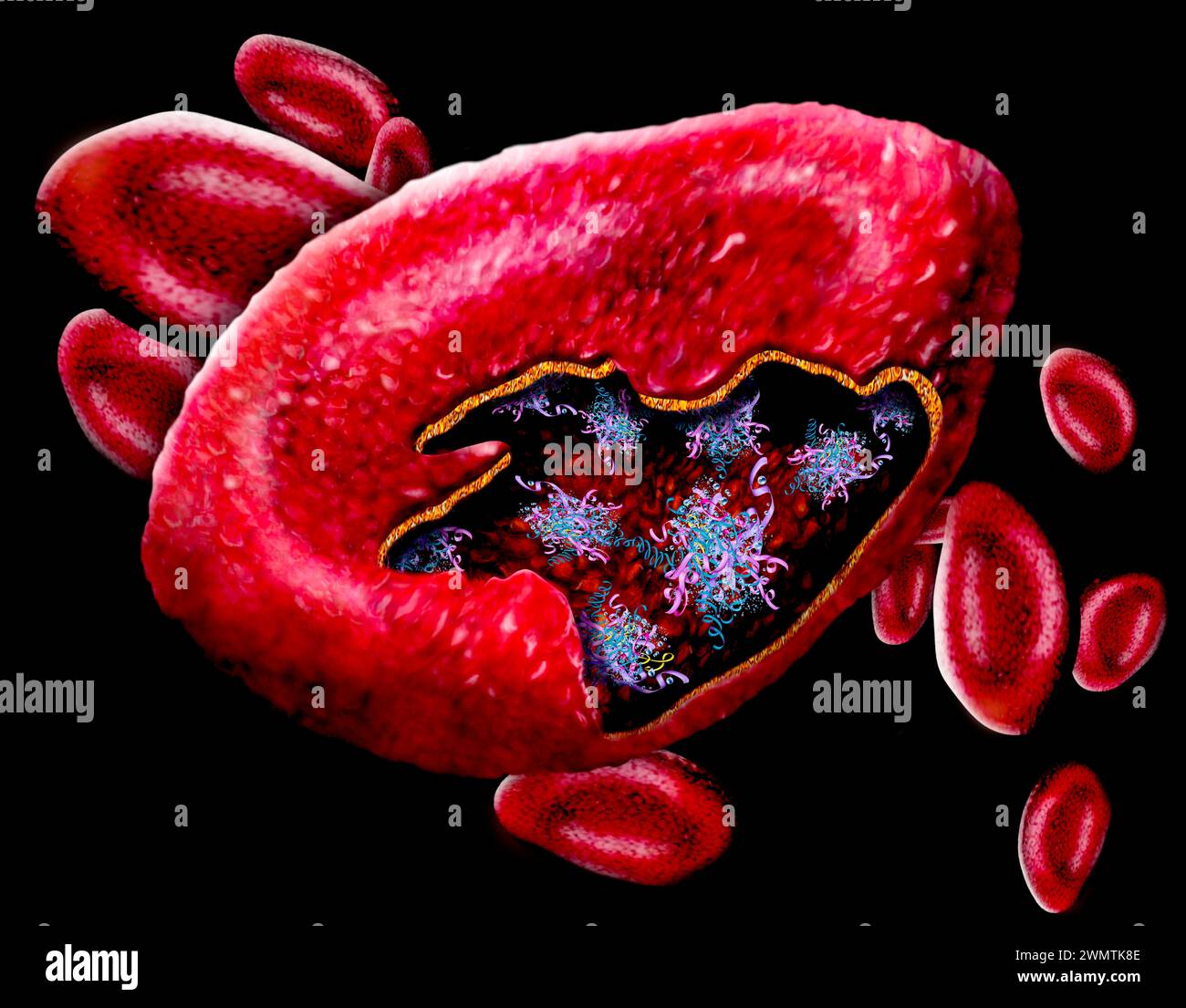 Red blood cells, illustration Stock Photo - Alamy