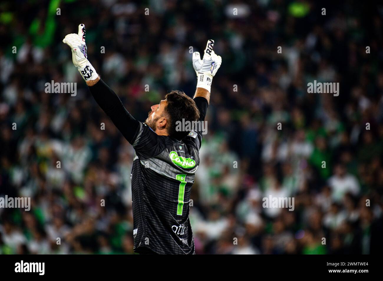 Bogota, Colombia. 25th Feb, 2024. Equidad's goalkeeper Washington Ortega reacts to a goal of Kevin Viveros during the BetPlay Dimayor Leagua match between Equidad (2) and Nacional (0) in Bogota, Colombia's El Campin stadium on February 25, 2024. Photo by: Sebastian Barros/Long Visual Press Credit: Long Visual Press/Alamy Live News Stock Photo