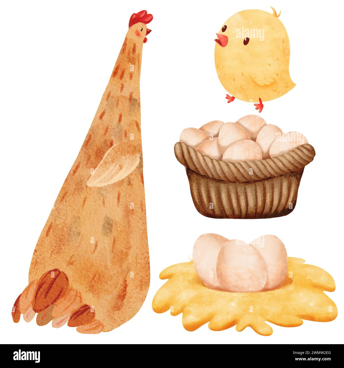 A hens nest Cut Out Stock Images & Pictures - Alamy