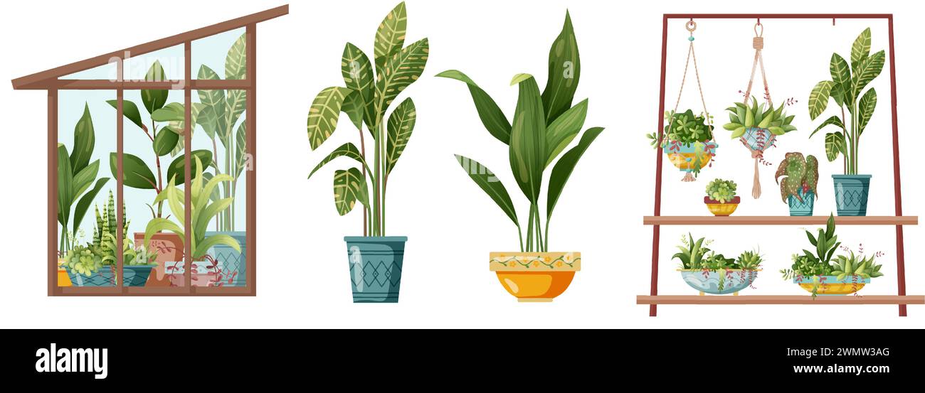 Houseplant and macrame plant growing in pots. Greenhouse, flower rack ...