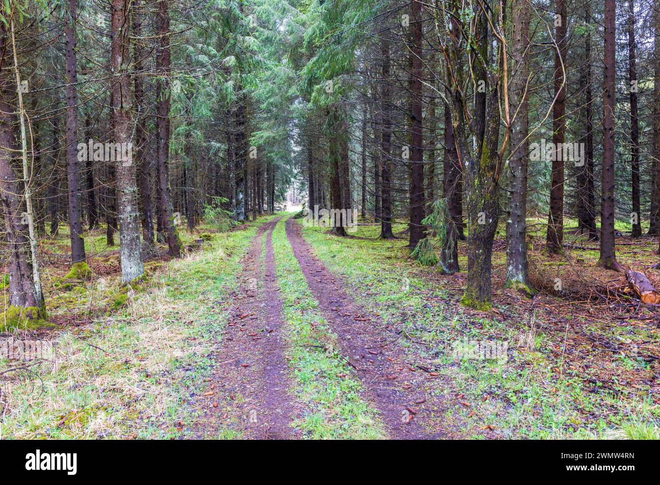 Empty dark road landscape hi-res stock photography and images - Alamy