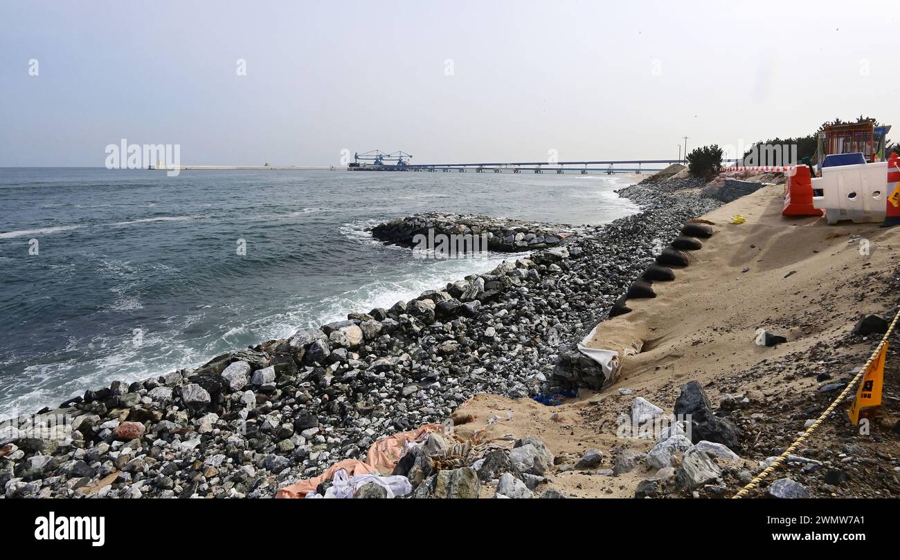Swashed Cliff 28th Feb, 2024. Coastal erosion A long sand cliff with rocks forms at a ...