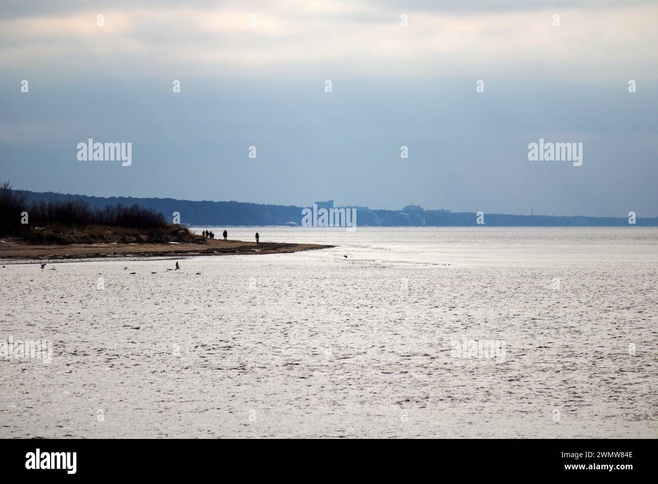 Nature view with the sea on a foggy day Stock Photo - Alamy