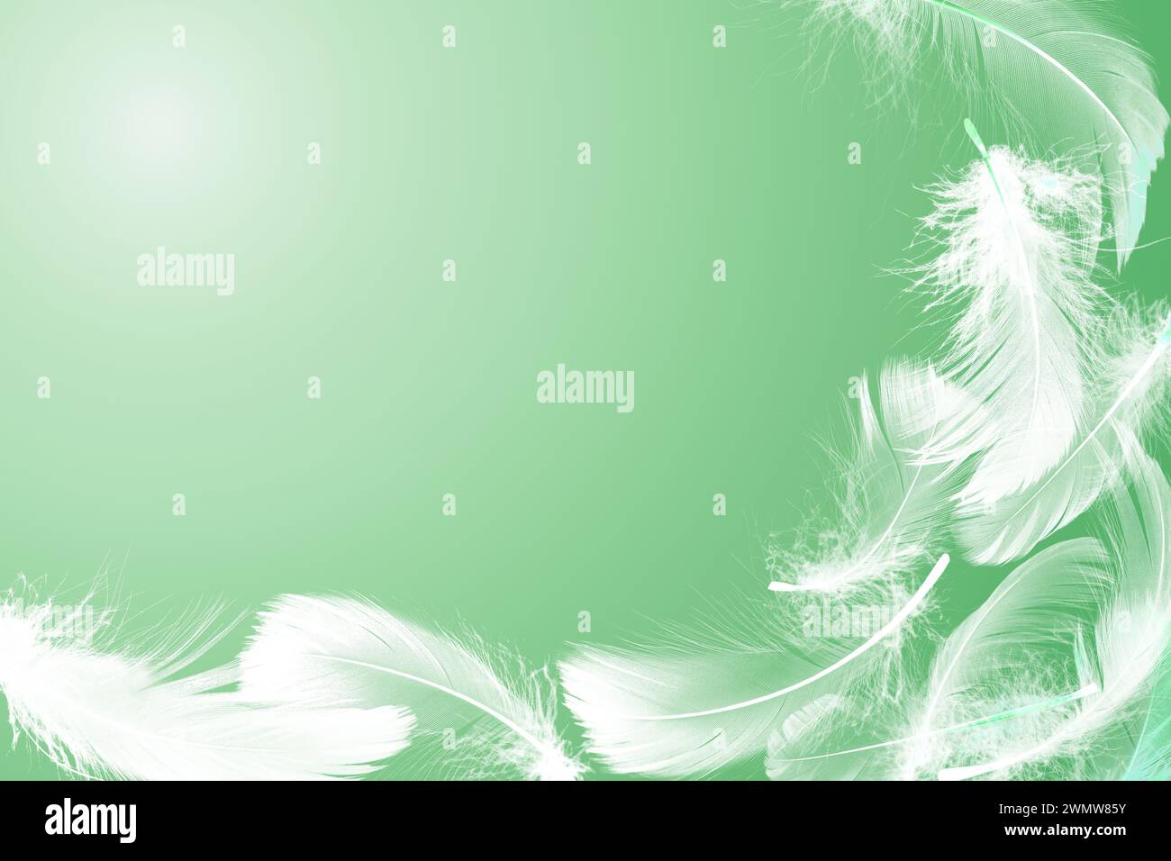 Fluffy bird feathers in air on green background, space for text Stock ...