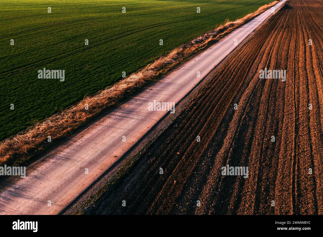 Straight asphalt country road between cultivated wheat plantation and ploughed field, aerial shot from drone pov, high angle view Stock Photo