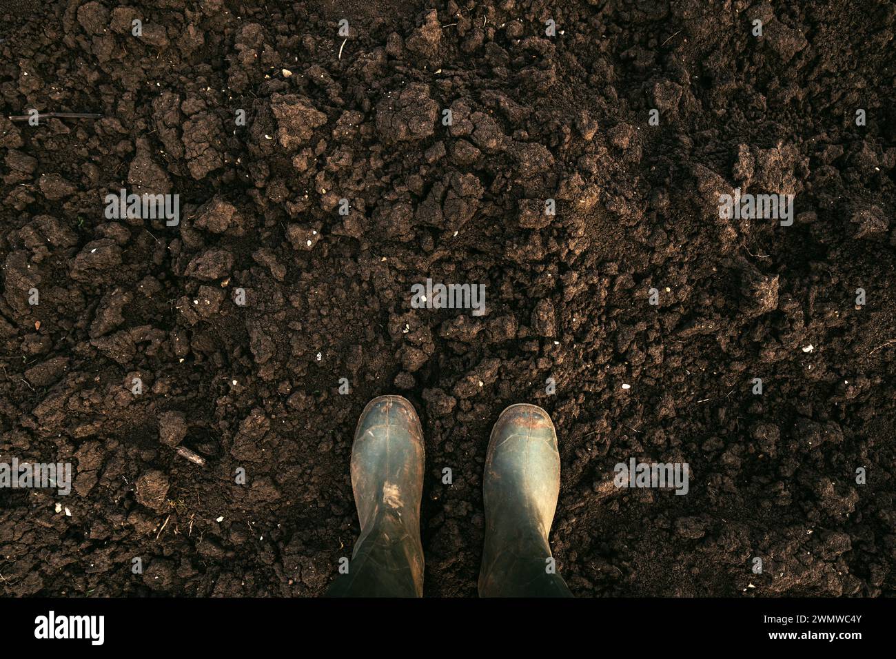 Top view of dirty rubber boots on soil ground with copy space Stock Photo