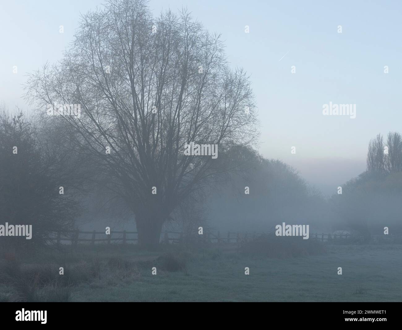 Early Morning Mist Landscape, Iffley Meadows, Oxford UK Stock Photo