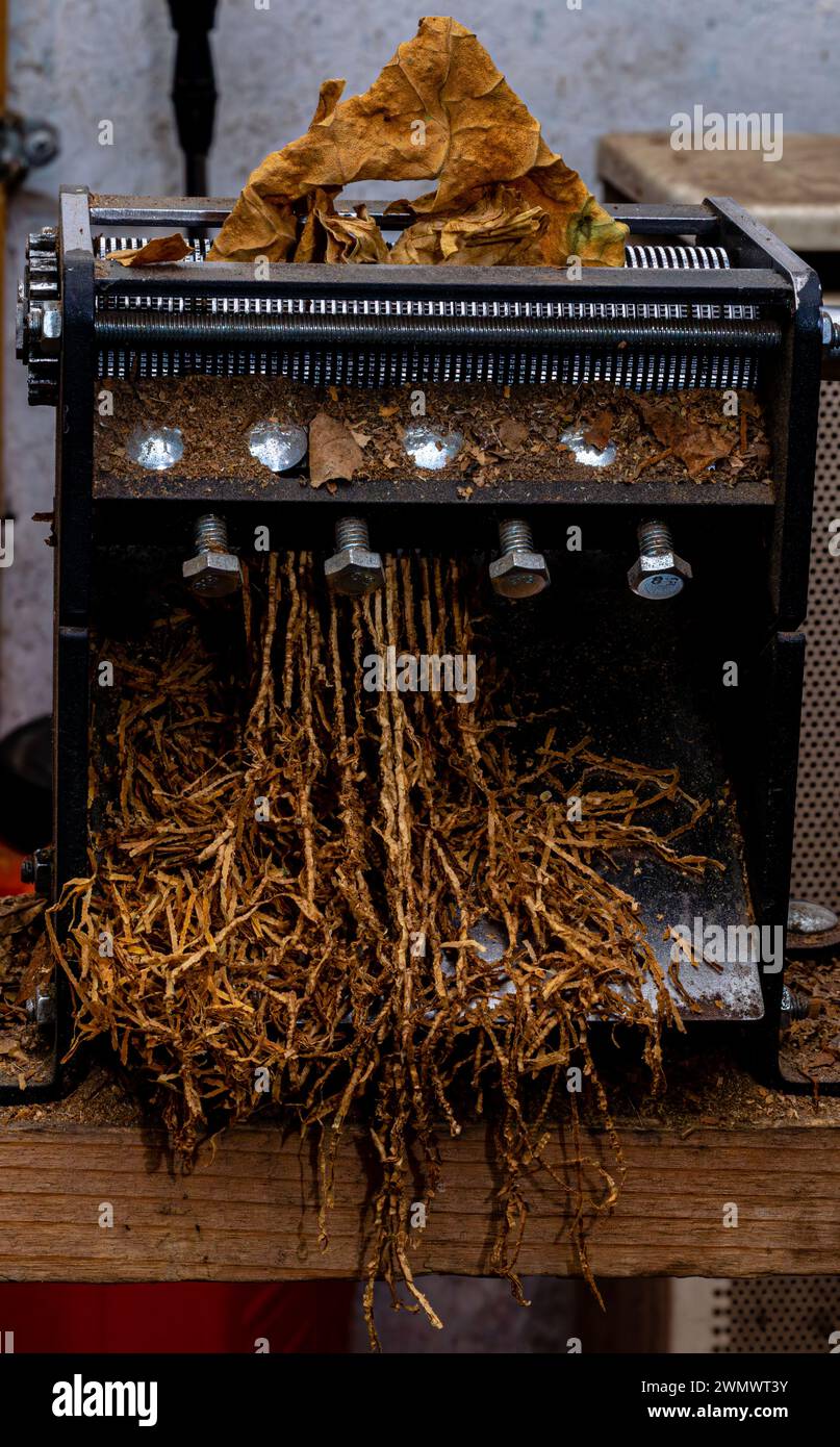 60 minutes tobacco story The Insider (film)
