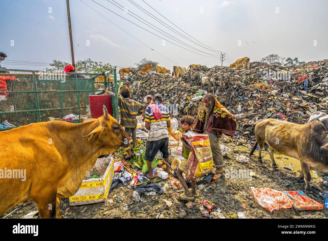 Tinsukia, Assam, India. 28th Feb, 2024. Rag pickers, unidentified ...