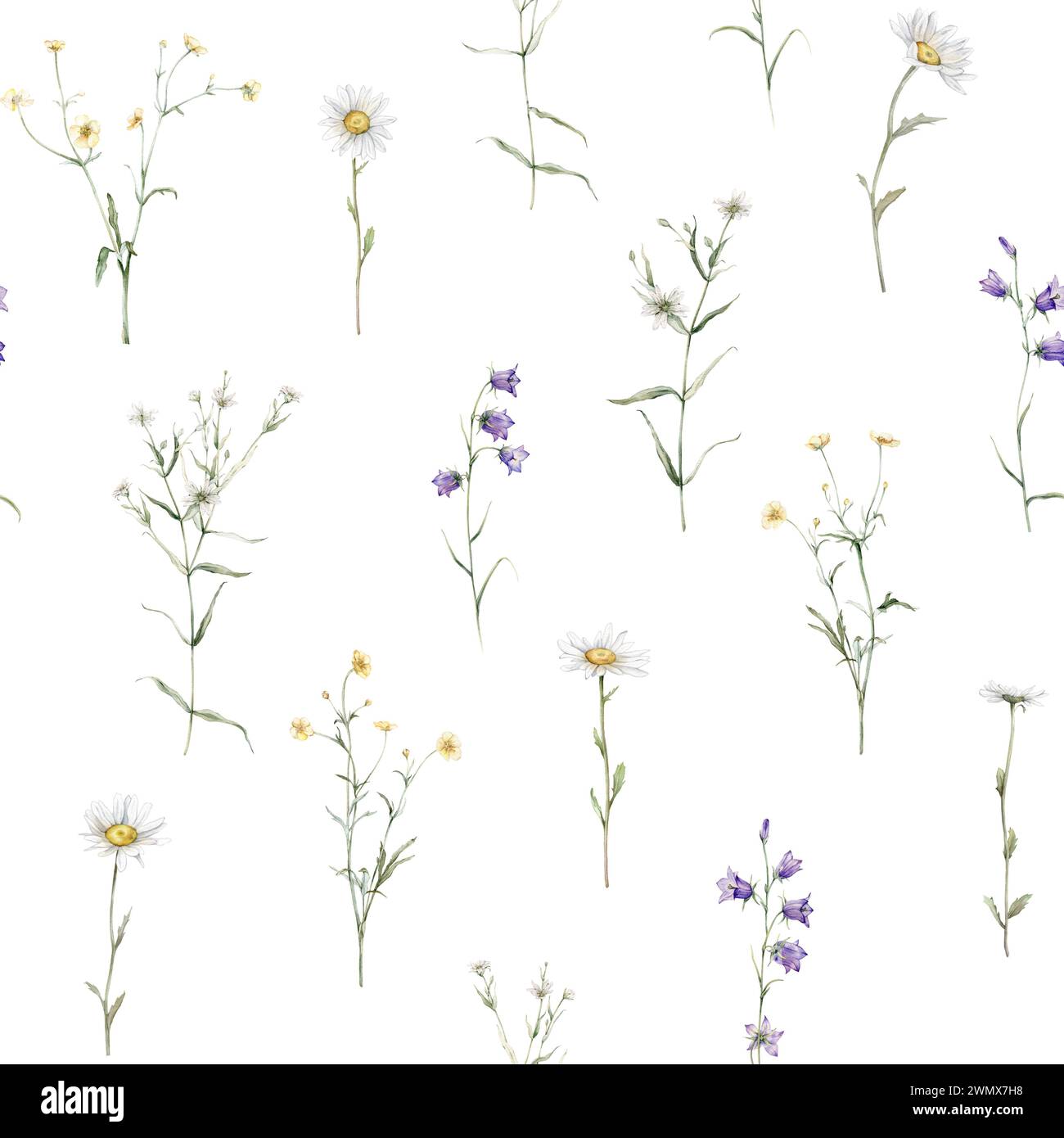 Seamless pattern watercolor meadow flower with white chamomile and violet bluebell. Repeat wallpaper forest flower yellow ranunculus. Hand drawn Stock Photo