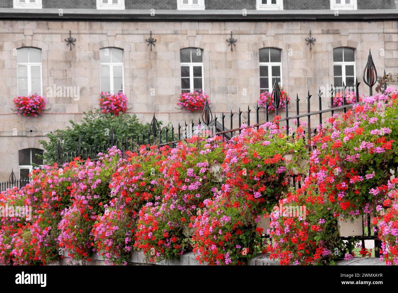 Lush floral decoration, Hotel de ville, town hall, Guingamp, Departement Cotes-d'Armor, Brittany, France Stock Photo
