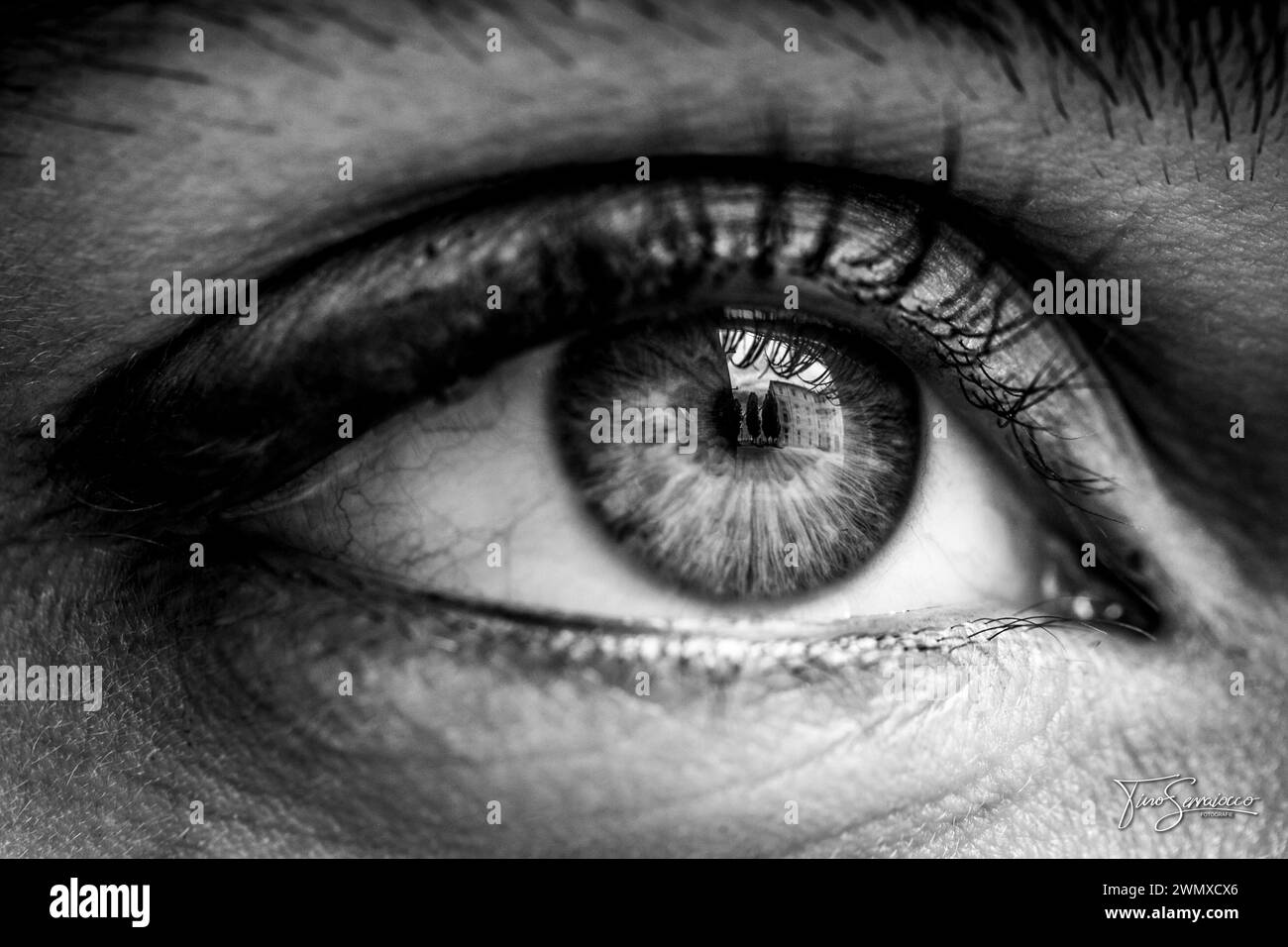 Blink eye Black and White Stock Photos & Images - Alamy