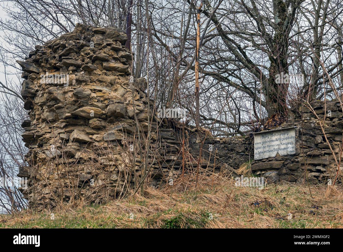 Ruins of Schoeneberg Castle from ca1400, near Betzigau. Allgaeu, Bavaria, Germany Stock Photo