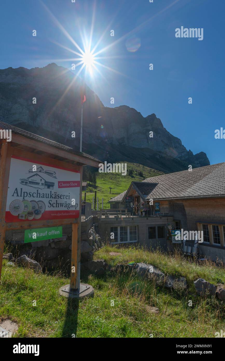 Urnaesch, Alpine show dairy Schwaegalp, agriculture, cheese making, alpine pasture, forest, backlight, information board, Canton Appenzell Stock Photo