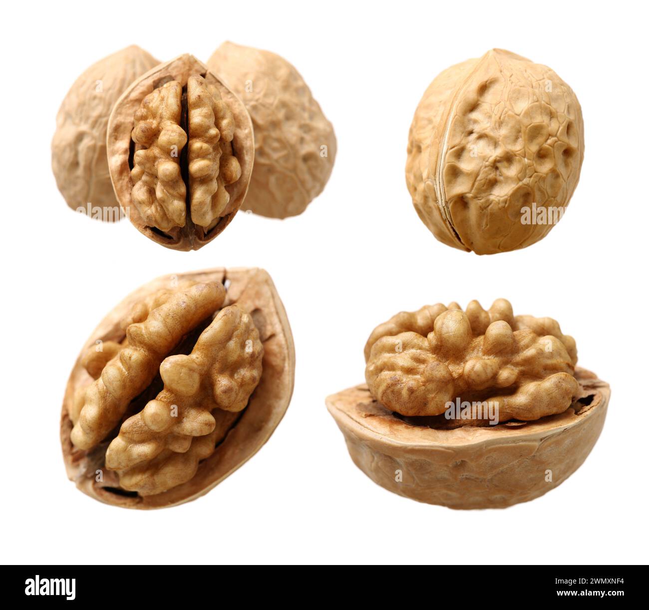 walnut on white background Stock Photo - Alamy