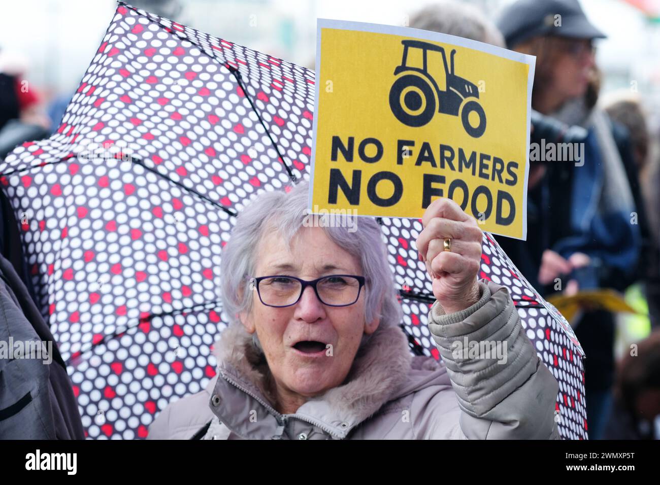 Cardiff, Wales, UK – Wednesday 28th February 2024 – Welsh farmers and their families protest in central Cardiff against the Welsh government’s proposed Sustainable Farming Scheme ( SFS ).  Photo Steven May / Alamy Live News Stock Photo