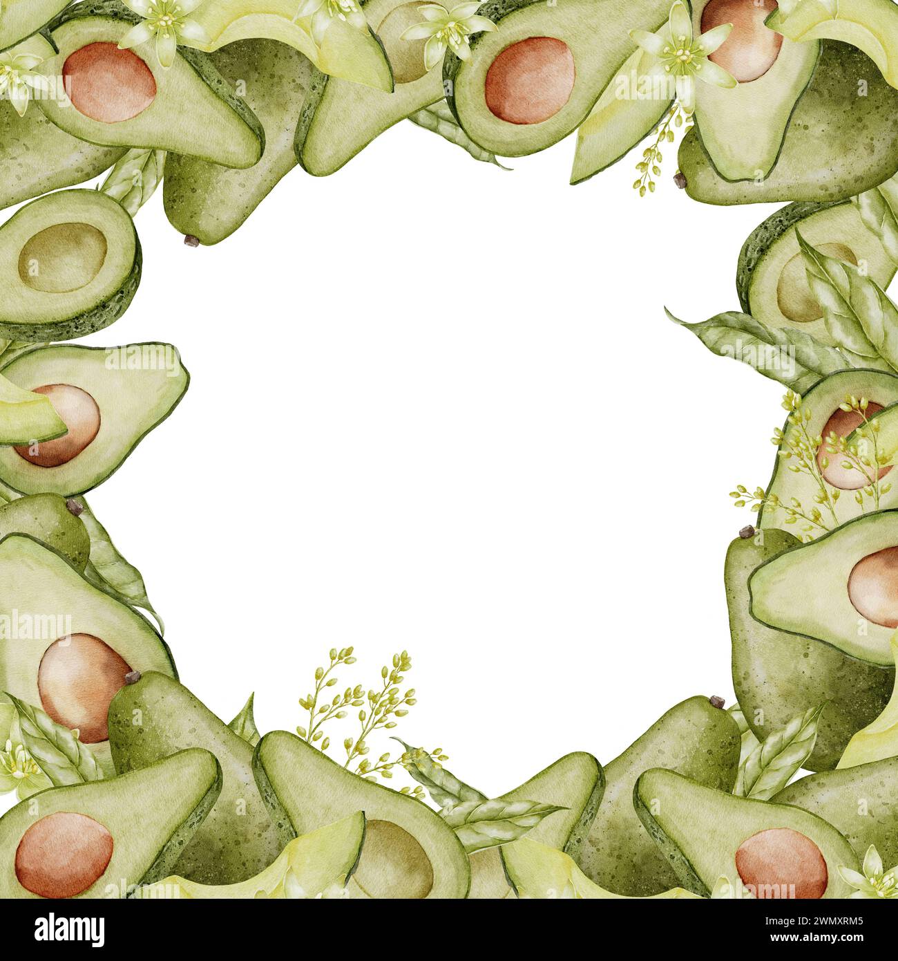 Avocado square Frame Border. Watercolor Background with white copy ...