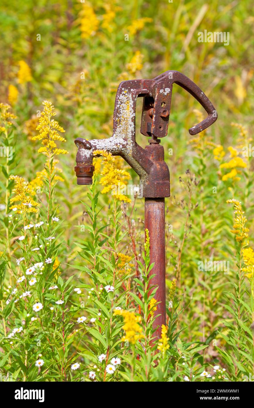 Slowly overtaken by a field of autumn wildflowers, a rusty old hand pump succumbs to the elements of nature. Stock Photo