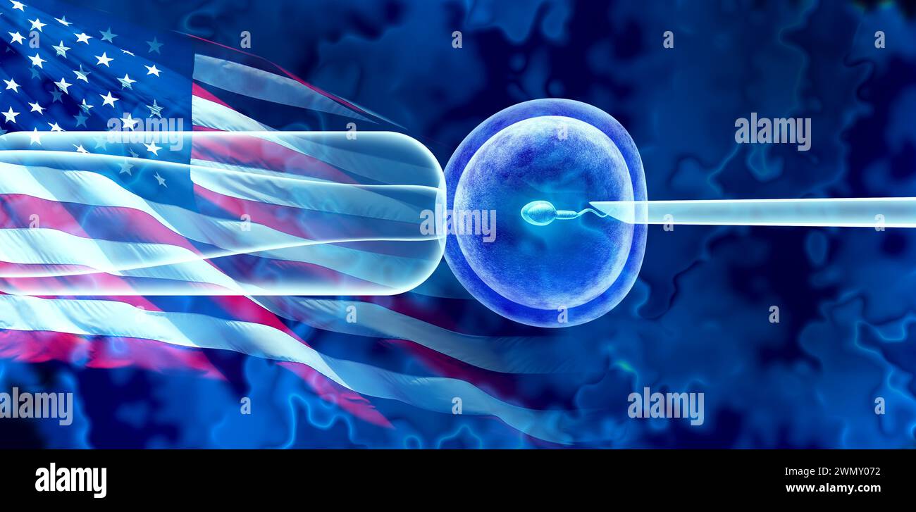 US IVF Embryo Social issues as legal concerns and controversial issue