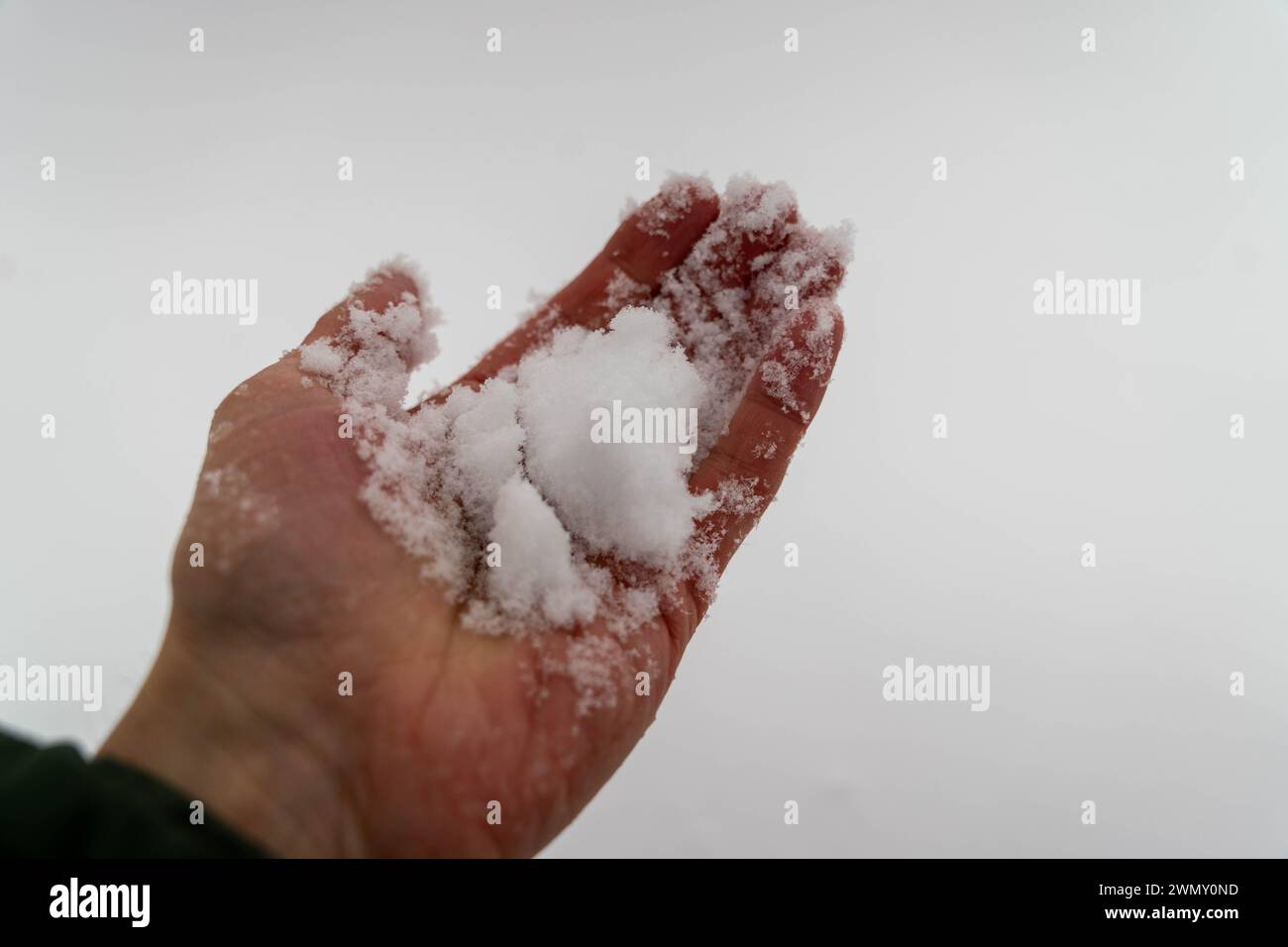Snow In Hand A man's hand holds snow in the palm of his hand Stock Photo - Alamy