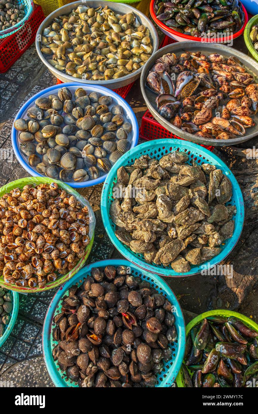 Vietnam, Mekong Delta, Kien Giang province, Ha Tien, fish and seafood market Stock Photo