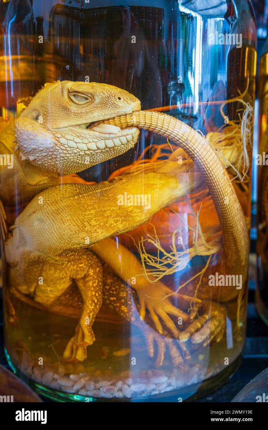 Vietnam, Mekong Delta, Kien Giang province, Ha Tien, traditional medicine pharmacy Stock Photo