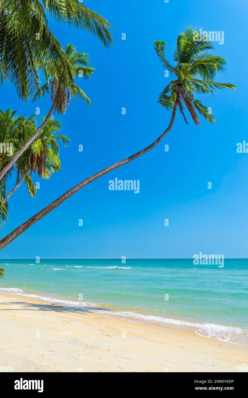 Vietnam, Kien Giang province, Hon Son (or Lai Son) island, Bai Bang beach on the east coast Stock Photo
