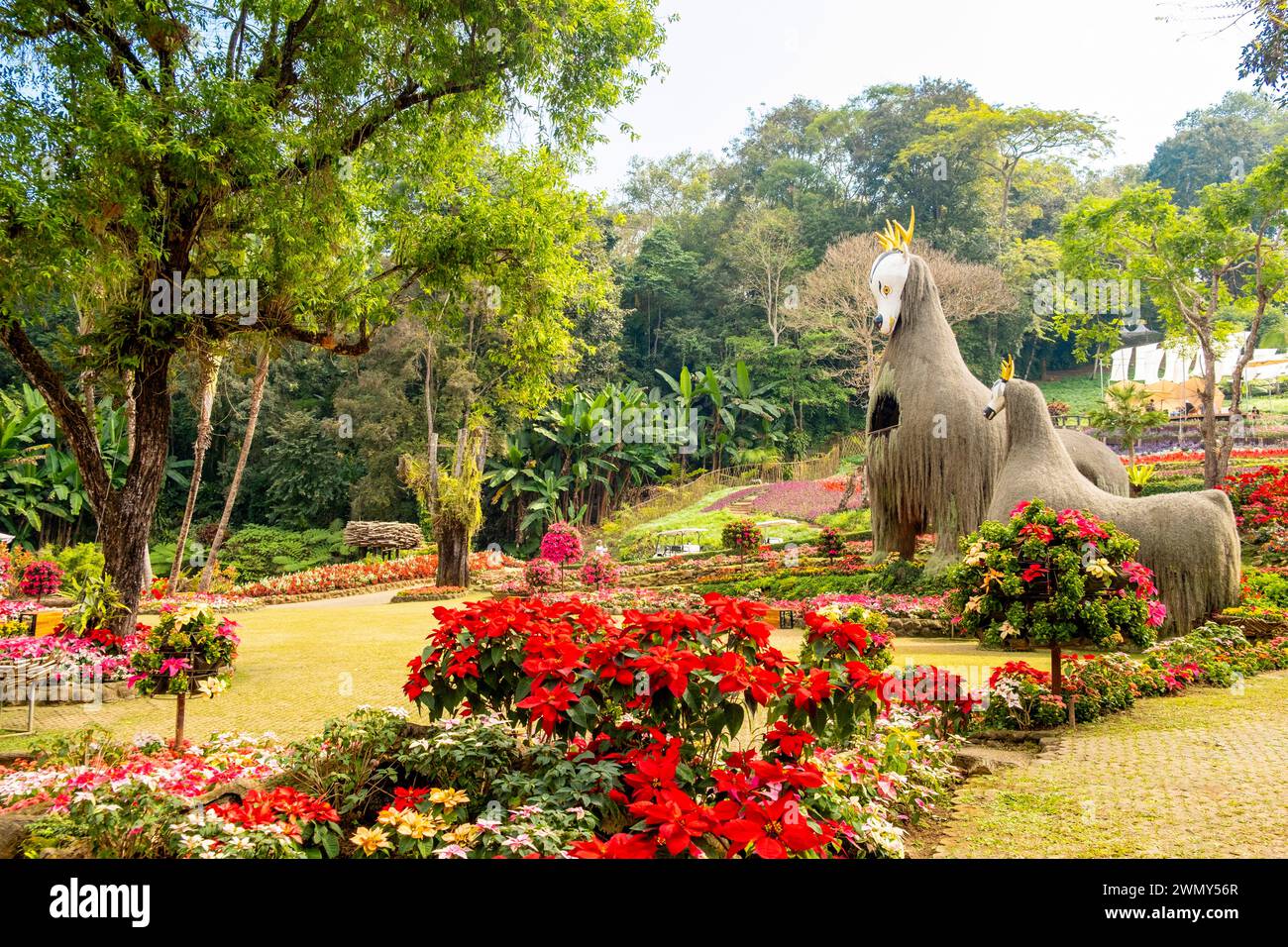 Thailand, Chiang Rai province, surroundings of Mae Salong, Doi Tung Royal Garden or Mae Fan Luang garden Stock Photo