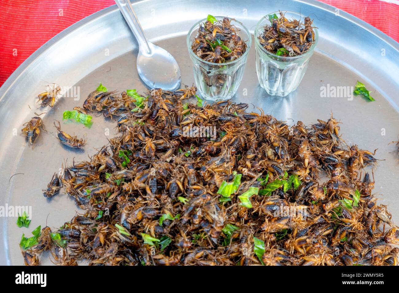 Grilled Insect Grilled insects hi-res stock photography and images - Alamy