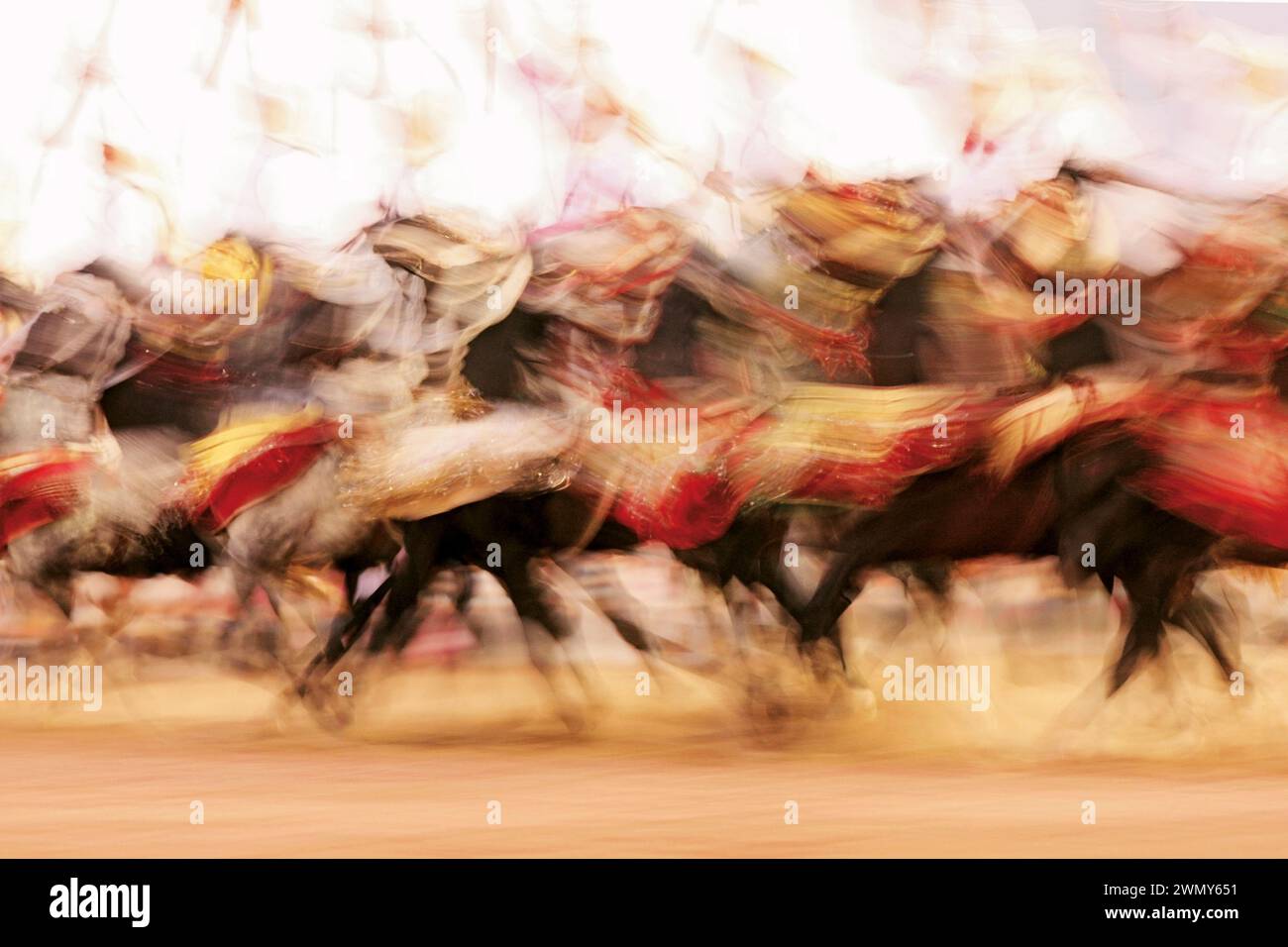 Rider of a traditional Fantasia festival in Morocco Stock Photo