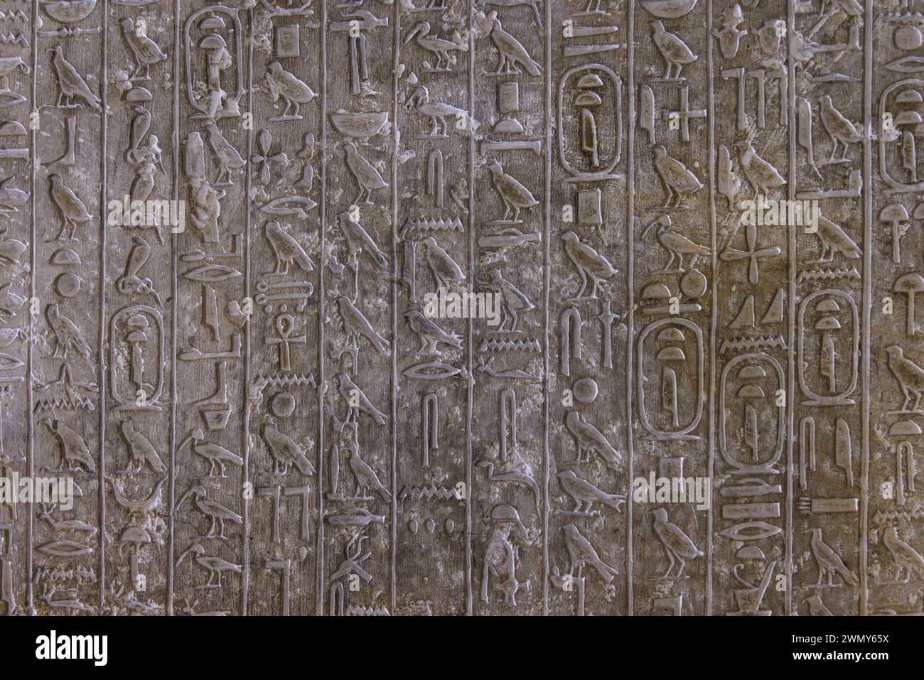 Egypt, Cairo, Saqqara, Memphis and its necropolis, the pyramid fields from Giza to Dahshur listed as World Heritage by UNESCO, Teti tomb, hieroglyphs Stock Photo