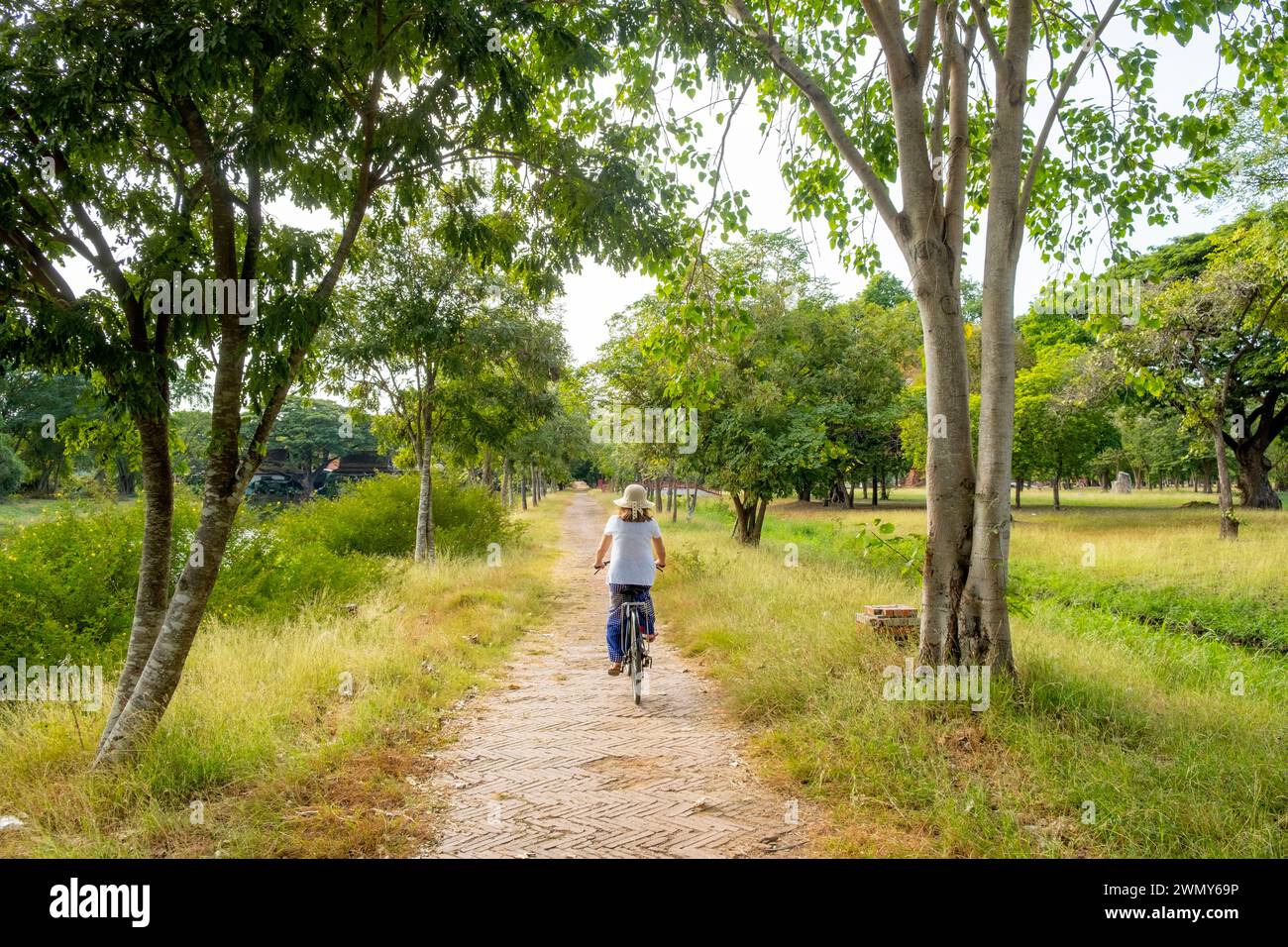 Thailand, Ayutthaya, listed as World Heritage by UNESCO, bike tour of the Historical Park Stock Photo