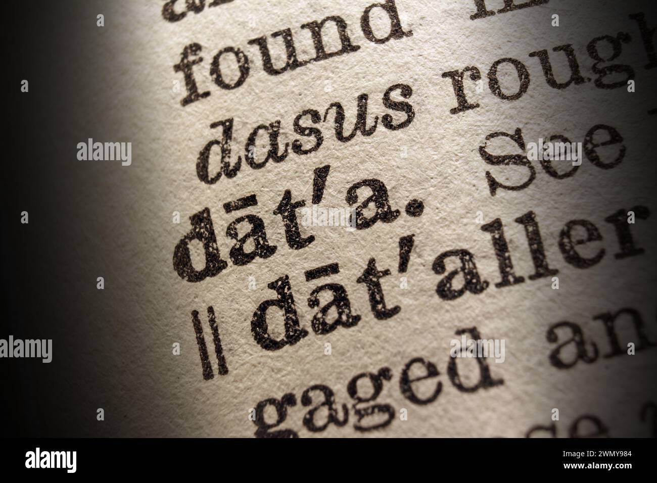 Word data printed on dictionary page, macro close-up Stock Photo