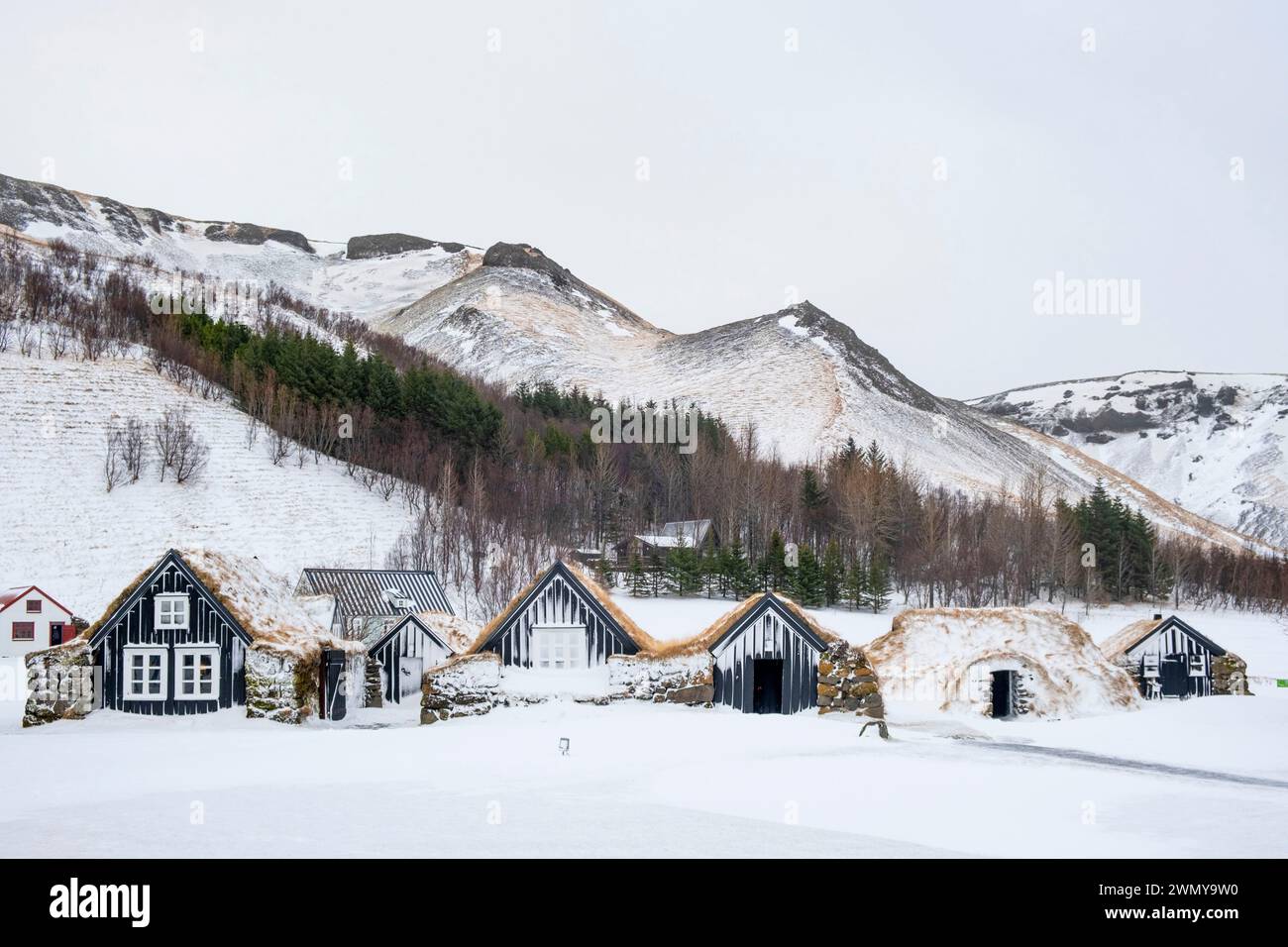 Iceland, South Coast, Sudurland region, Skogar, Skogar museum, traditional house under a roof of grass and snow Stock Photo