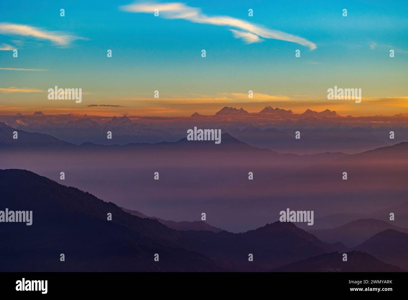 Nepal, Himalayas, Singalila National Park, Mossy oak forest, mountain