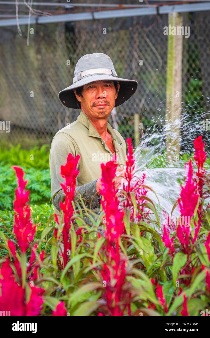 Vietnam, Mekong Delta, Sa Dec, the flower village of Sa Dec, called Lang Hoa in Vietnamese Stock Photo