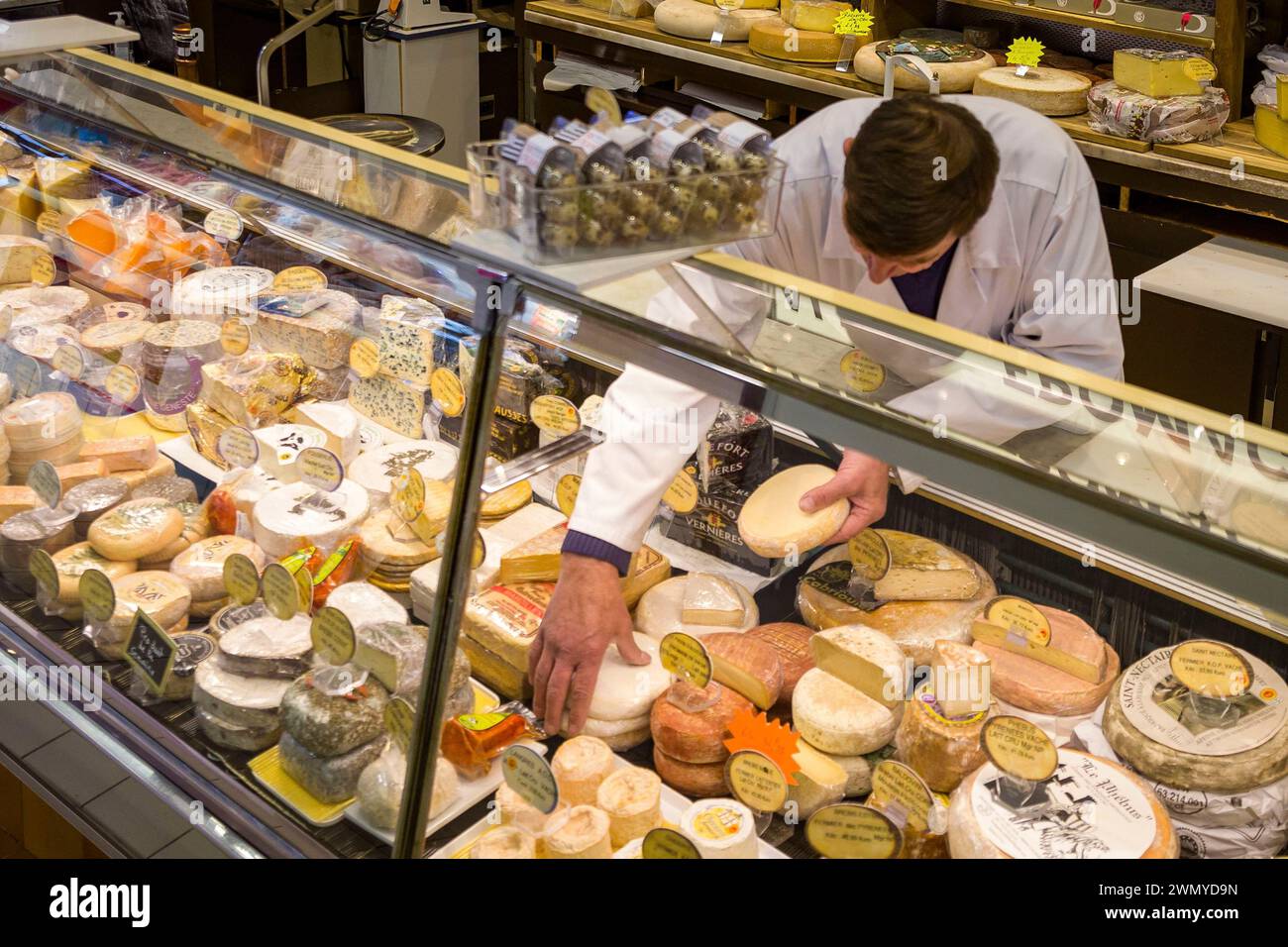 France, Indre et Loire, Loire valley listed as World Heritage by UNESCO, Tours, Thierry Cartereau cheese refiner at the Halles de Tours and vice-president of the French Cheese Federation in the Center Val de Loire region Stock Photo