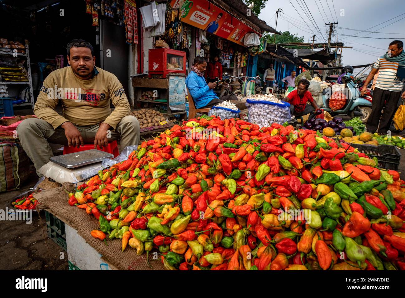 India, Assam, Jorhat, market, the Bhut Joloka is the second hotest chilli in the world Stock Photo