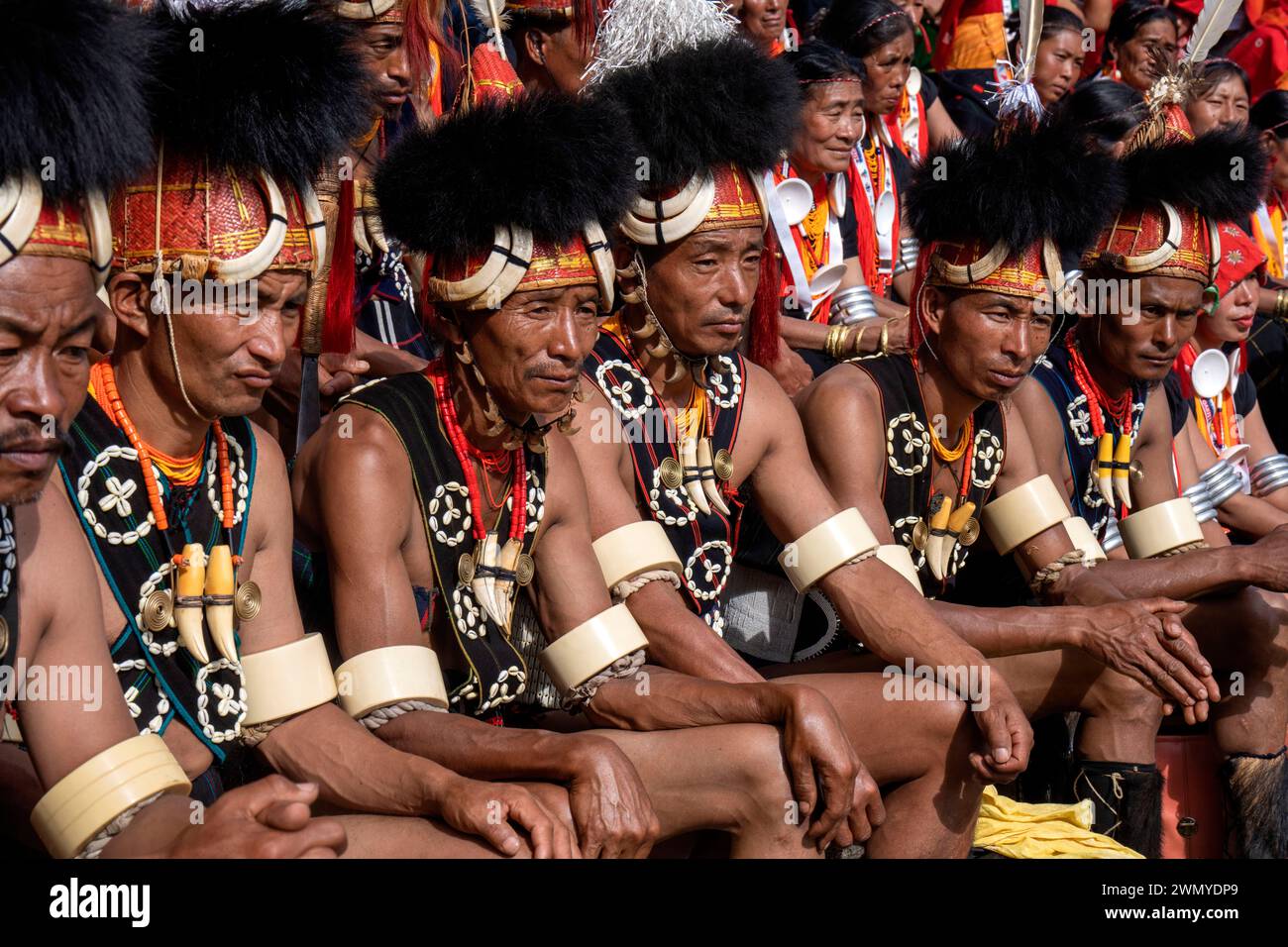 India, Nagaland, Kohima, annual meeting of all the Naga tribes during the Hornbill Festival Stock Photo