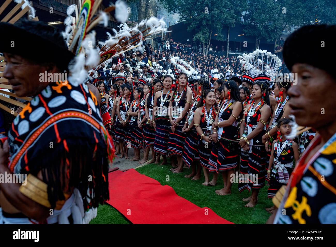 India, Nagaland, Kohima, annual meeting of all the Naga tribes during the Hornbill Festival, Zeliangs Tribe Stock Photo