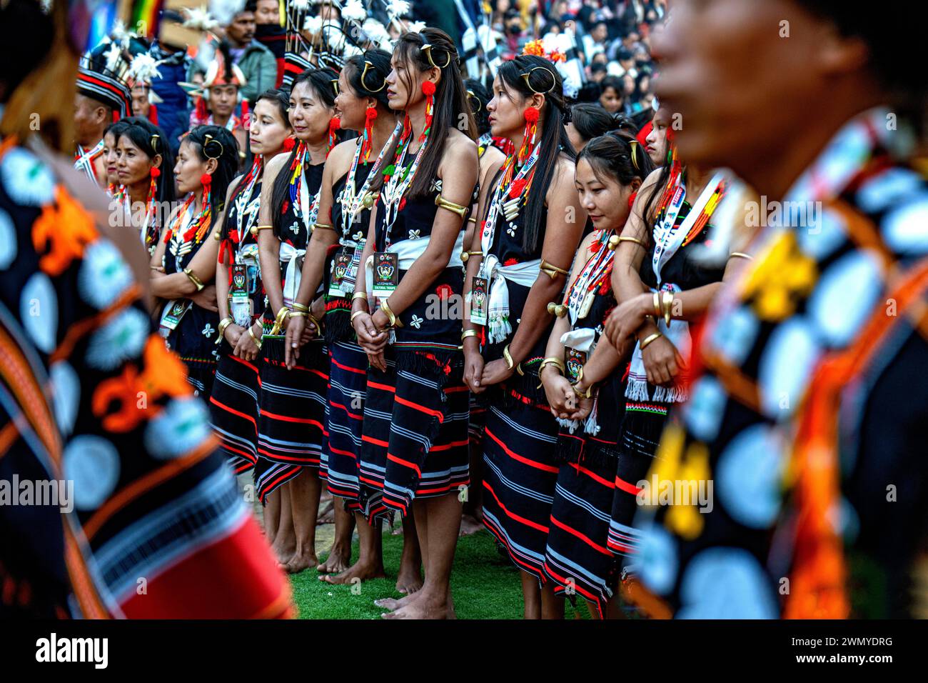 India, Nagaland, Kohima, annual meeting of all the Naga tribes during the Hornbill Festival, Zeliangs Tribe Stock Photo