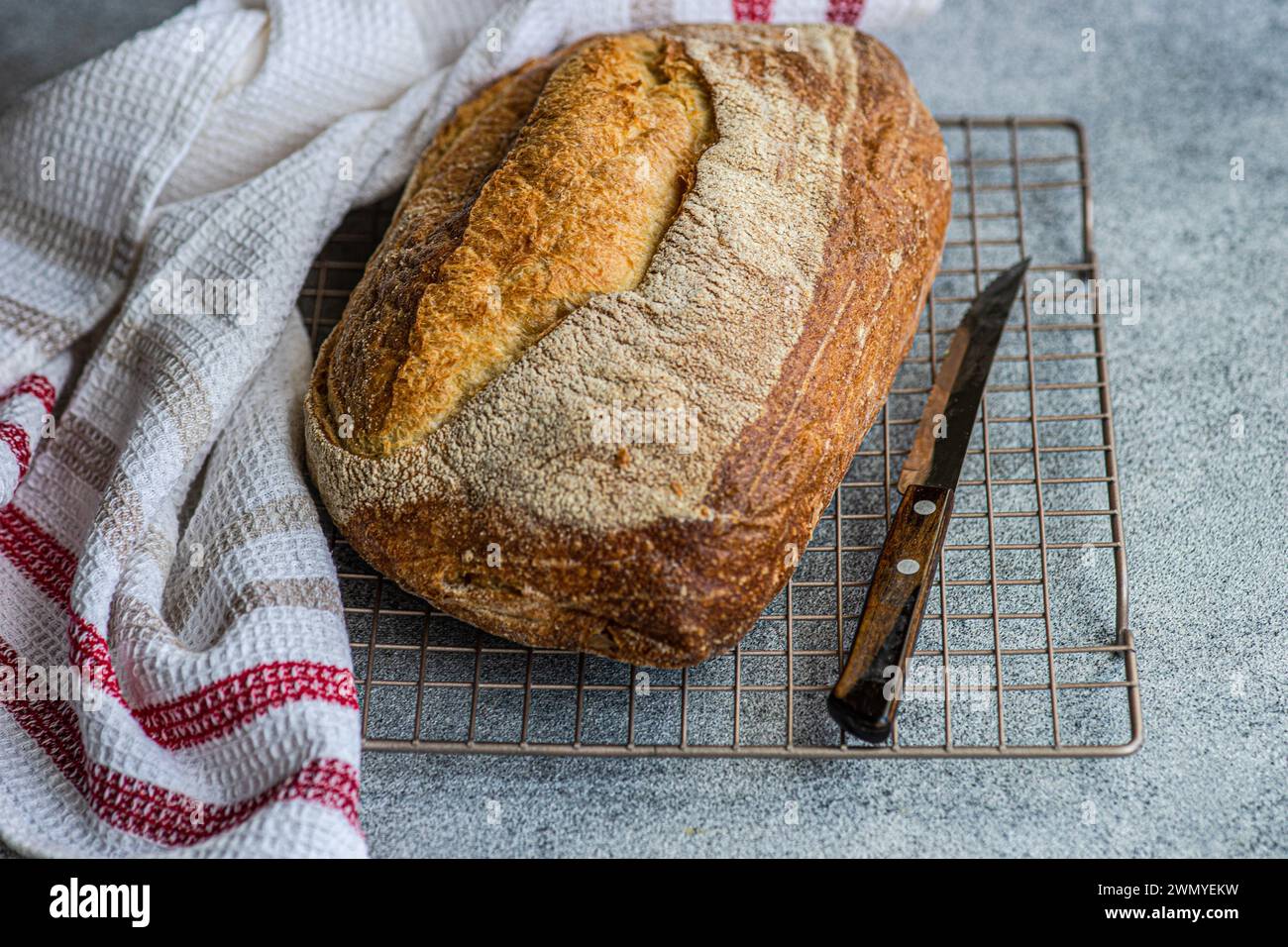 A freshly baked loaf of rye sourdough bread sits cooling on a wire rack ...