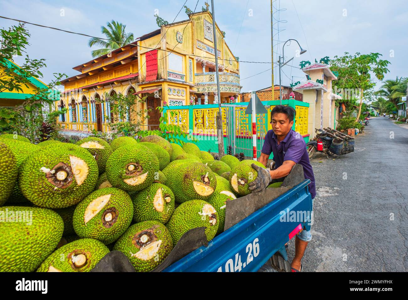 Vietnam, Mekong Delta, Tien Giang province, Tan Phong island, loading of jackfruit in front of a Cao Dai temple Stock Photo