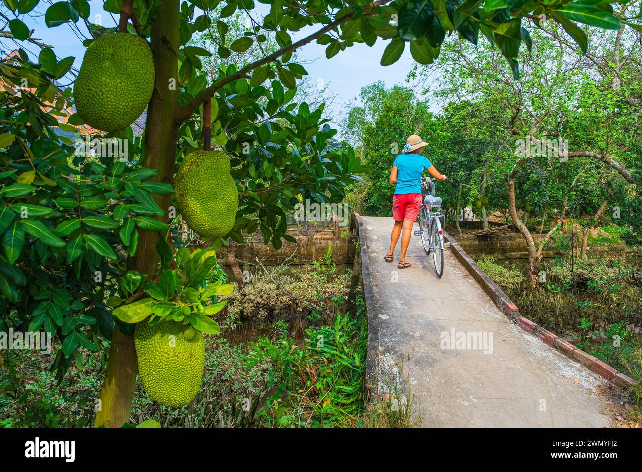 Vietnam, Mekong Delta, Tien Giang province, bike ride on Tan Phong island Stock Photo